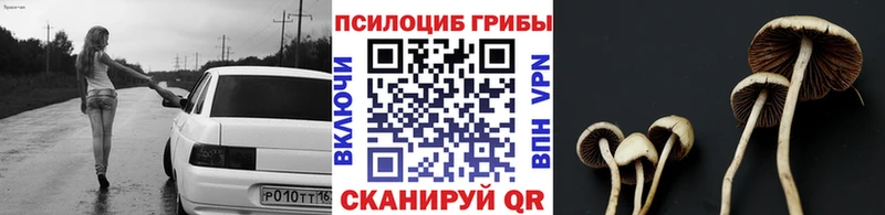 Псилоцибиновые грибы MAGIC MUSHROOMS  наркота  Октябрьск 